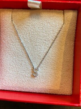 Sterling Silver Diamond S Monogram necklace